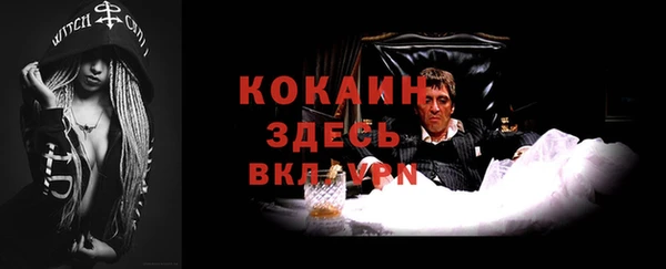 гидра Аркадак