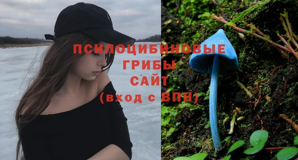 не бодяженный Арсеньев