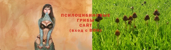 тгк Заводоуковск