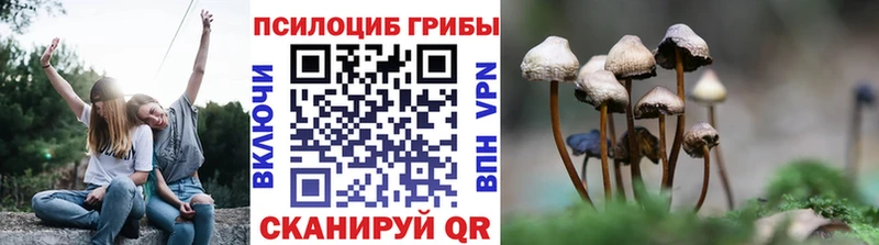 наркота  Радужный  Галлюциногенные грибы Psilocybe 